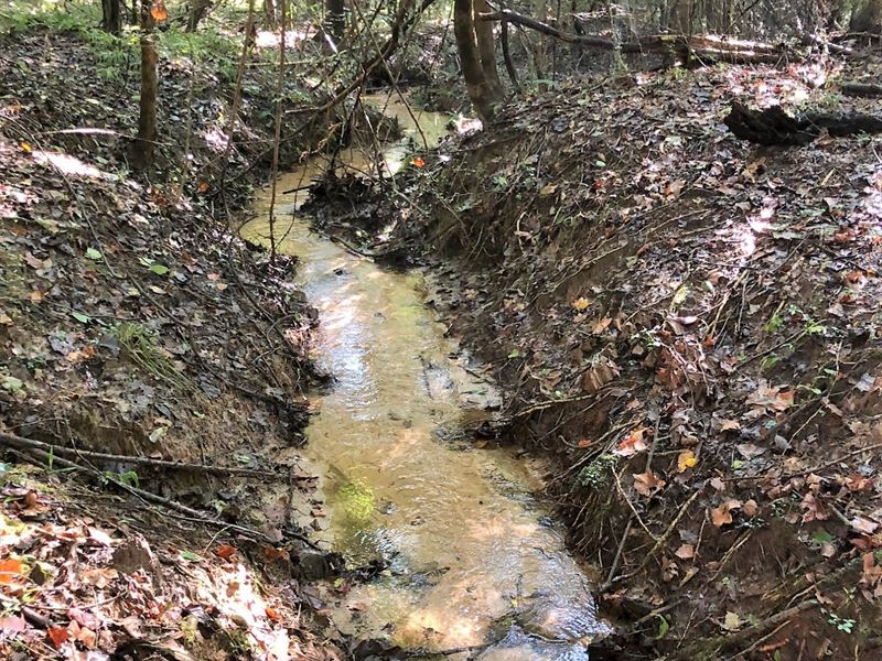 95 Acres Greenville, AL : Greenville : Butler County : Alabama