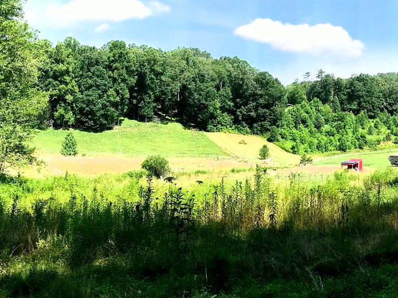 Delightful Working Family Farm : Pisgah Forest : Transylvania County : North Carolina