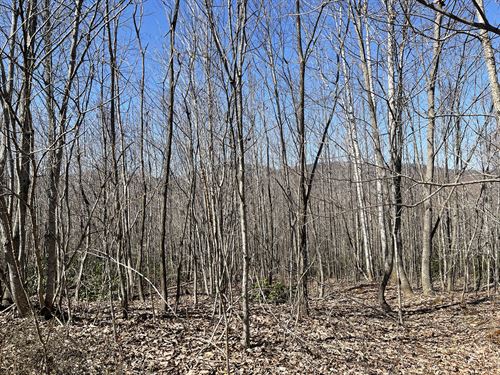 Mountain Ridge : Shipman : Nelson County : Virginia