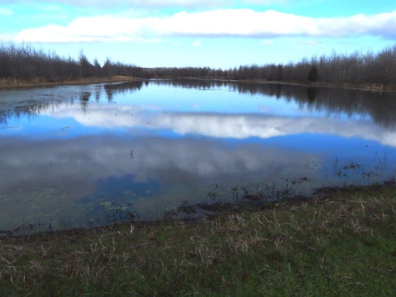 Delta Duck and Deer Hunting : Dundee : Tunica County : Mississippi