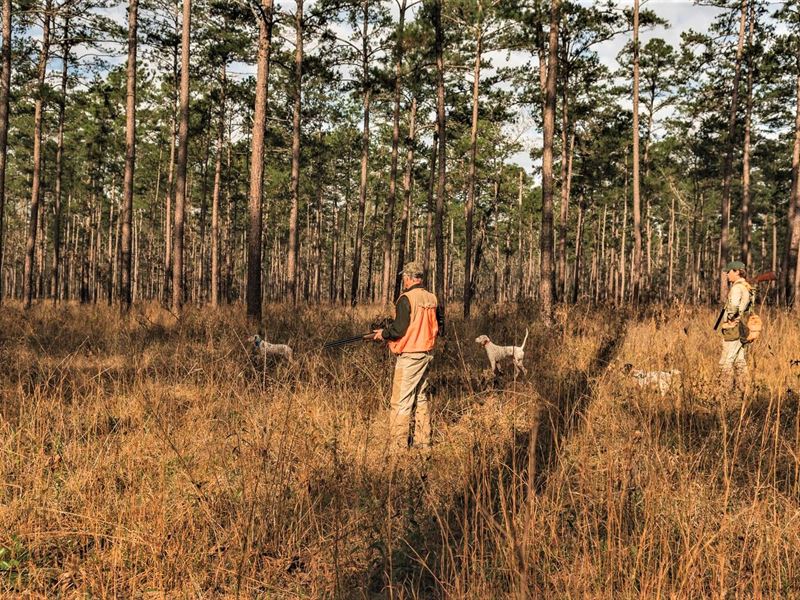 Magnolia Ridge : Cairo : Grady County : Georgia