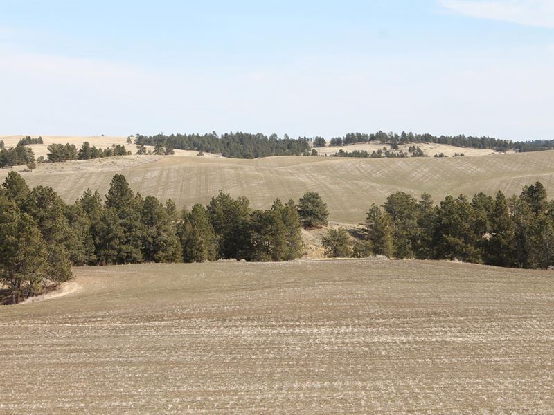 640 Acres in Winifred, Montana : Winifred : Fergus County : Montana