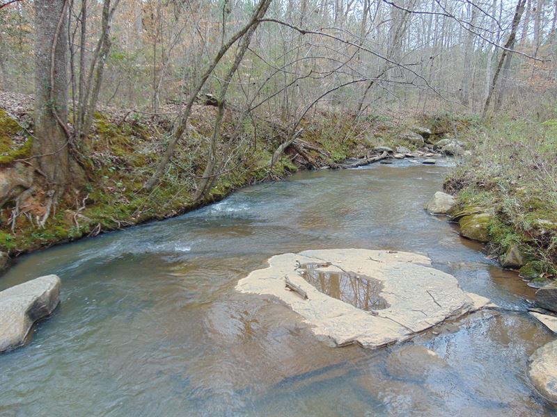 Huge Creek, Hardwoods, Planted Pine : Gray : Jones County : Georgia