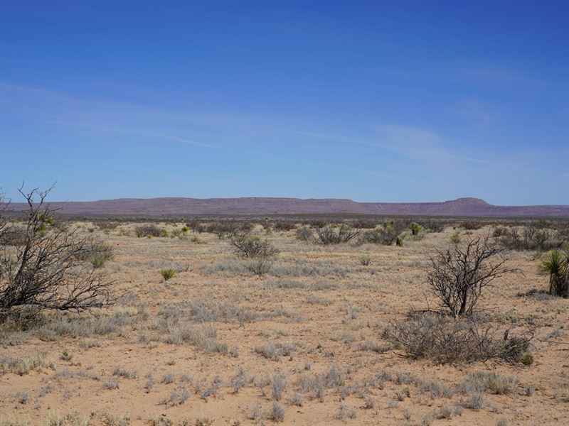 Enjoy 20 Acres Of Peace and Privacy : Sierra Blanca : Hudspeth County : Texas