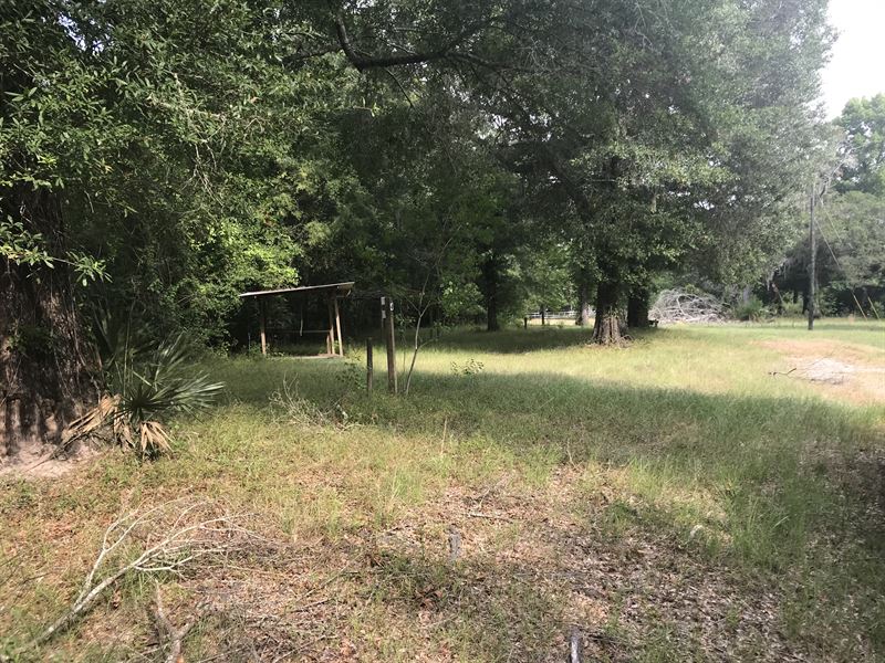 Yarbrough Landing Road : Eden : Effingham County : Georgia