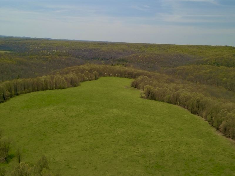 Land for Sale in Southern Missouri : Ava : Howell County : Missouri