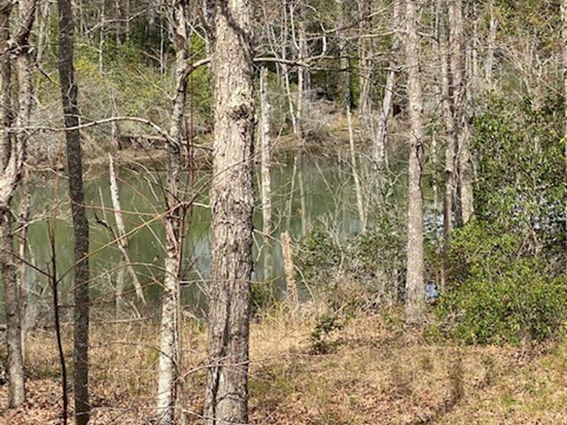 139.94+/- Ac Hunting Land, Creek : Pikeville : Bledsoe County : Tennessee
