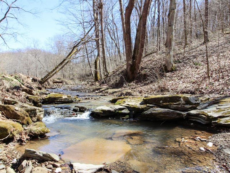 Kerr Run Rd, 51 Acres, Washington : Newport : Washington County : Ohio
