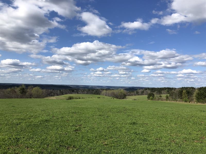 York Mountain Farms : Empire : Walker County : Alabama