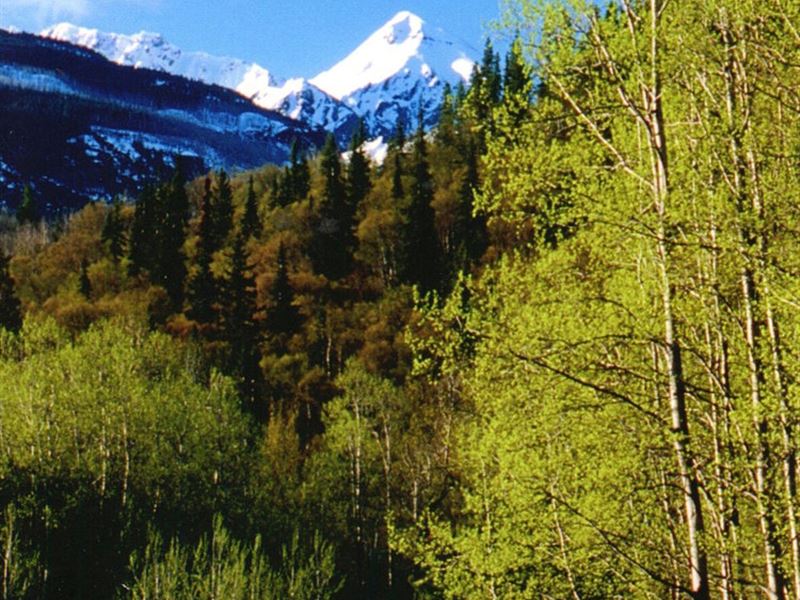 146 Acre Riverfront Property : Stikine River : British Columbia : Canada