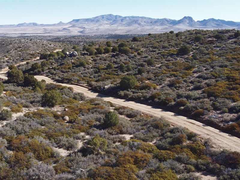40 Acres in Mohave County, Ranch for Sale by Owner in Arizona, 272542