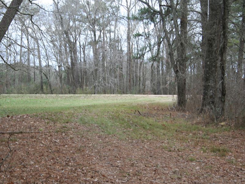 Prefect Hunter's Paradise : Canton : Madison County : Mississippi