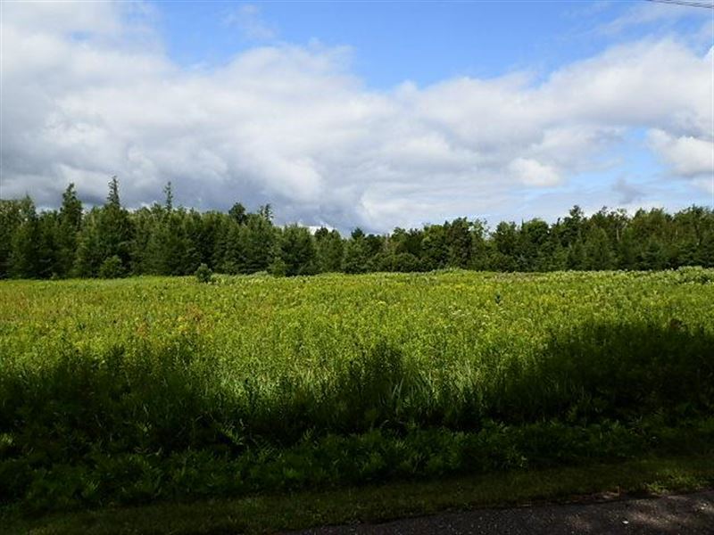 Large Parcel Near Park Falls : Eisenstein : Price County : Wisconsin