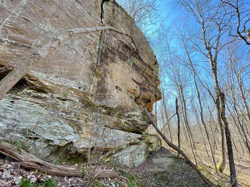 Harrison Rd, 66 Acres, Jackson Co : Jackson : Jackson County : Ohio