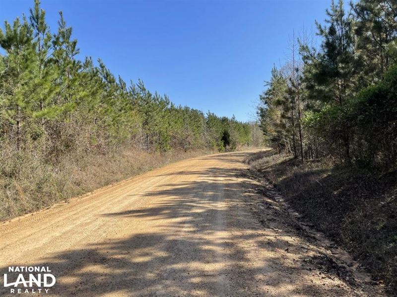 Coal Fire Creek Hunting and Timber : Kennedy : Fayette County : Alabama