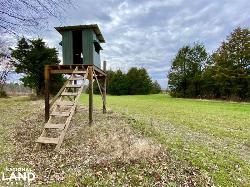 Marion Junction Timber Hunting & Cr : Marion : Perry County : Alabama