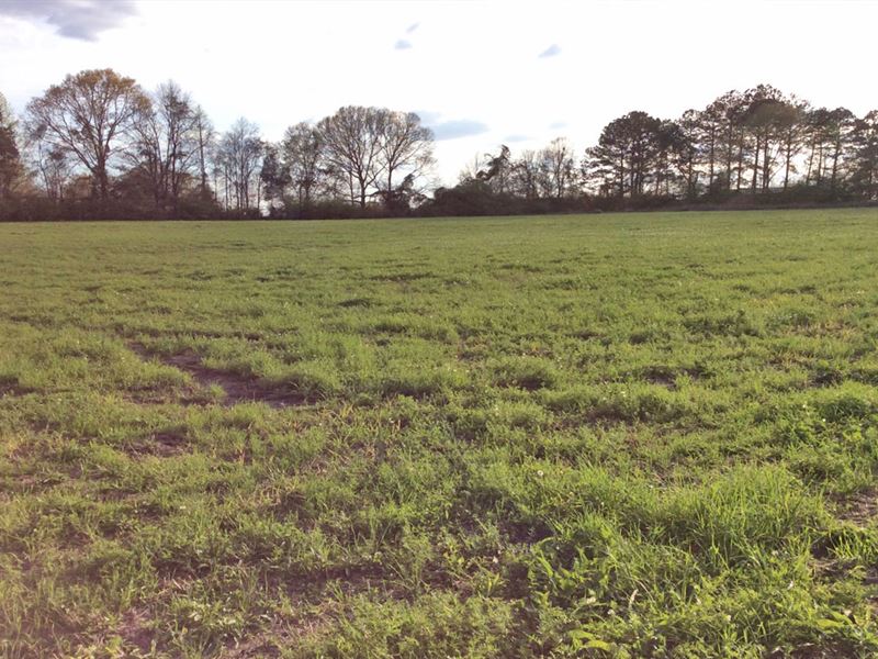 Agar Co Rd 2239 Tract : Goshen : Pike County : Alabama