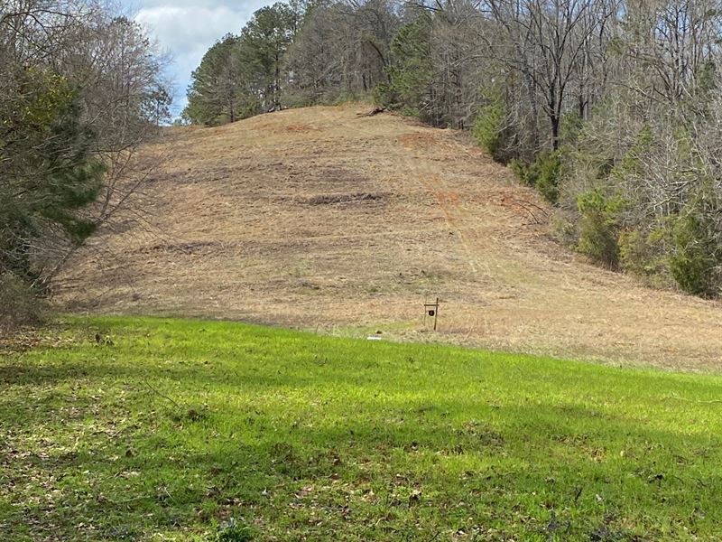 Pond with Beautiful Hardwood Ridges : Selma : Dallas County : Alabama