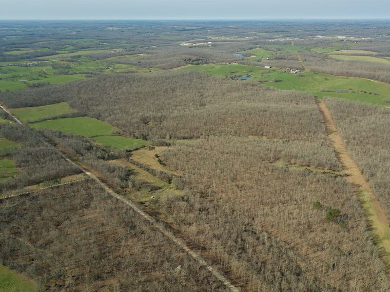 King Mountain 255 : Willow Springs : Howell County : Missouri