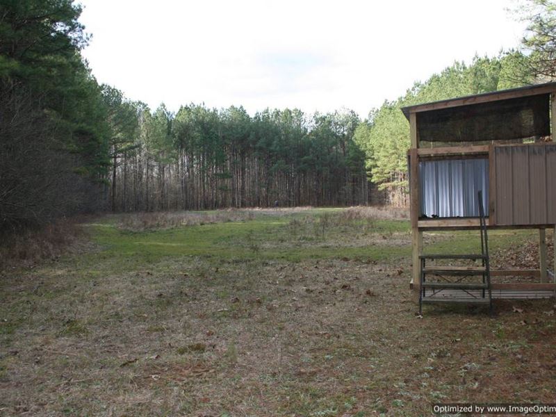 Beautiful Hunting Paradise : Canton : Madison County : Mississippi