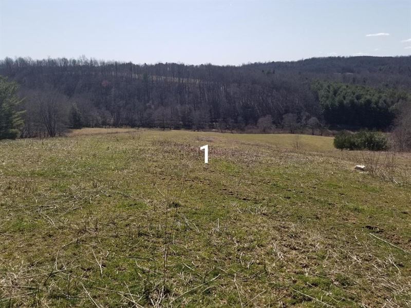 130 Acres Selling in 6 Tracts : Laurel Fork : Carroll County : Virginia
