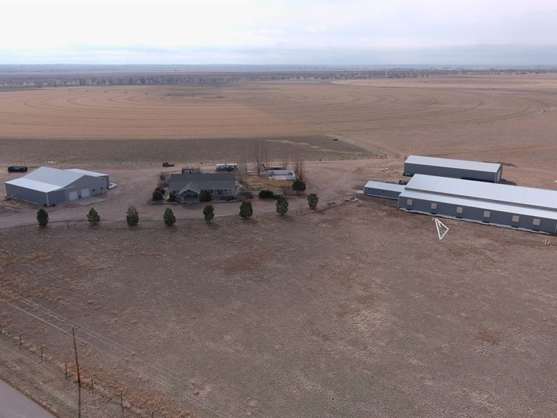 6104 County Road F Wiggins : Wiggins : Morgan County : Colorado