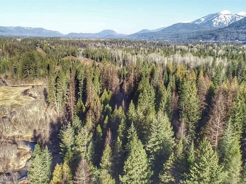 Meandering Elk Creek Sanctuary : Heron : Sanders County : Montana
