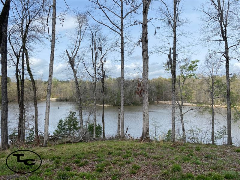 Mill Creek Tract : Alberta : Wilcox County : Alabama