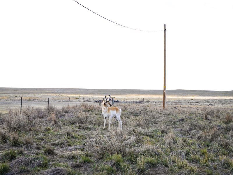 Large WY Acreage Near City & Power : Casper : Natrona County : Wyoming