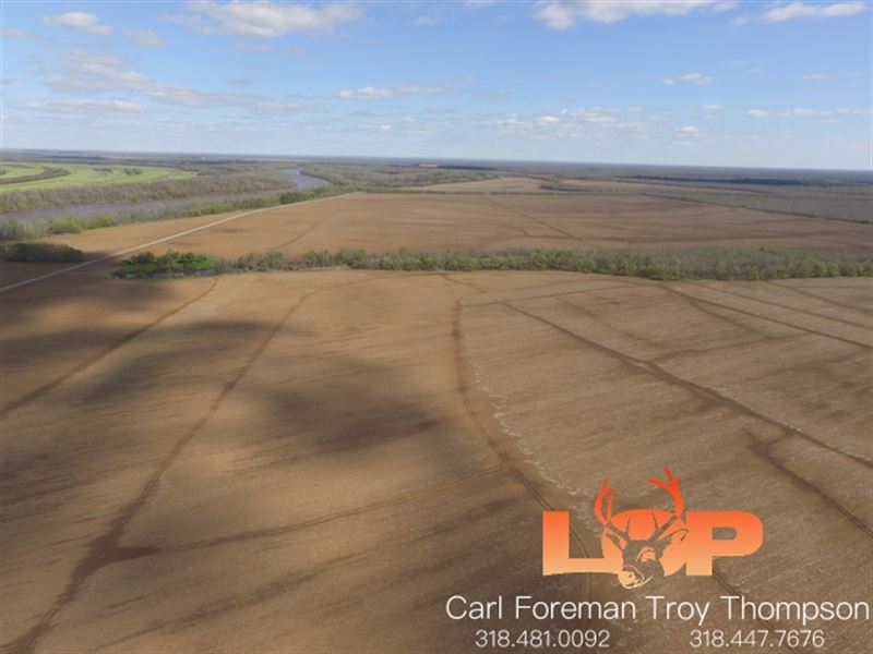 6000+/- Ac Avoyelles Corbett Farms : Marksville : Avoyelles Parish : Louisiana