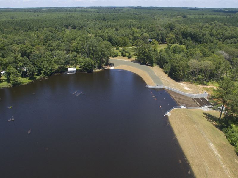 20 Acres Tyler County Getaways T-1 : Colmesneil : Tyler County : Texas