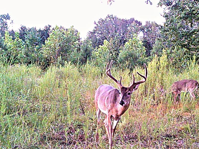 Nesmith Place : Fort Deposit : Lowndes County : Alabama