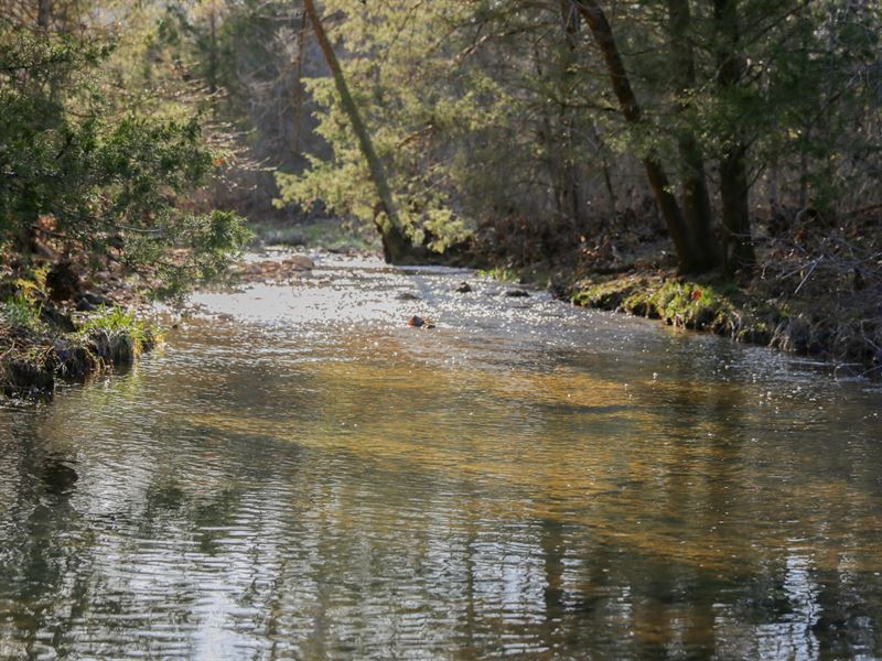 Double Creek 920 : West Plains : Howell County : Missouri