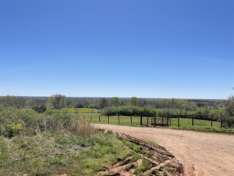 28 Acres Hall County, GA : Clermont : Hall County : Georgia