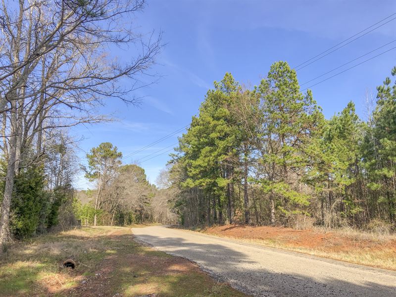 171 Acres Cr 3111 : Jacksonville : Cherokee County : Texas