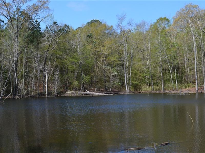 Gin Branch : Sandersville : Washington County : Georgia