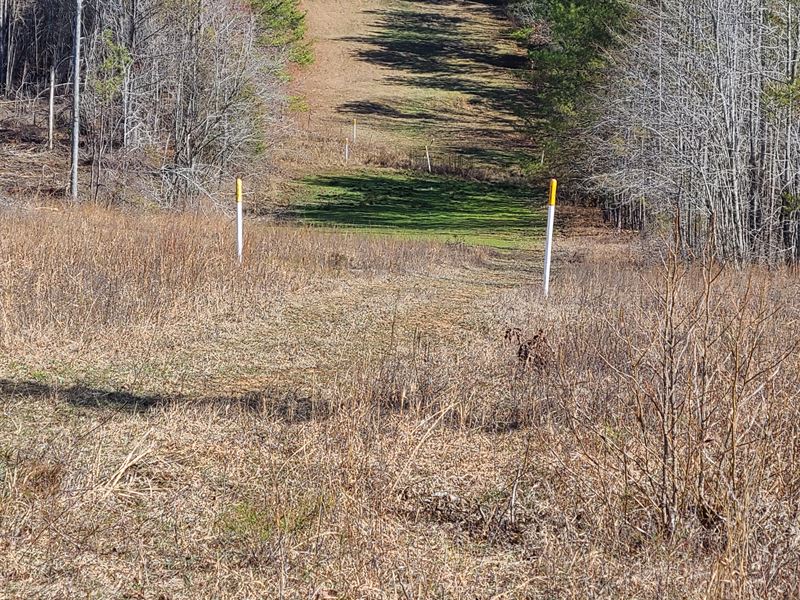 Boardtree Creek North : Hamilton : Marion County : Alabama