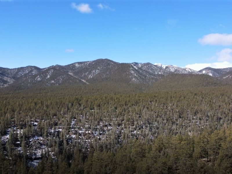 Coyote Creek Ranch : Guadalupita : Mora County : New Mexico