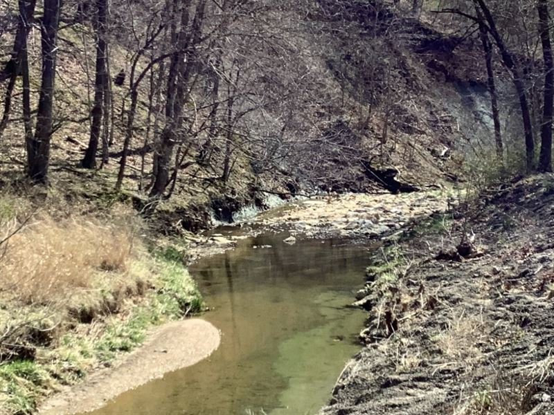 Incredible Hunting Potential : Kampsville : Calhoun County : Illinois