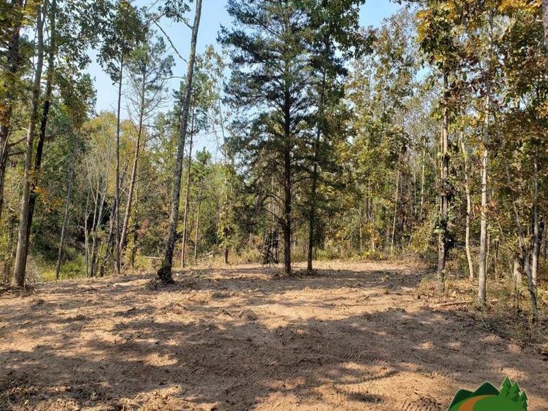 Remote OffGrid Parcel Ranch for Sale by Owner in Montier, Shannon