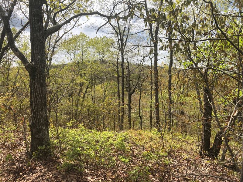 Arkansas Hunting Recreational Land : Leslie : Searcy County : Arkansas