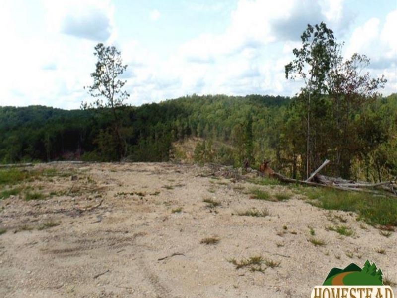 Hunters Paradise Right Here : Van Buren : Carter County : Missouri