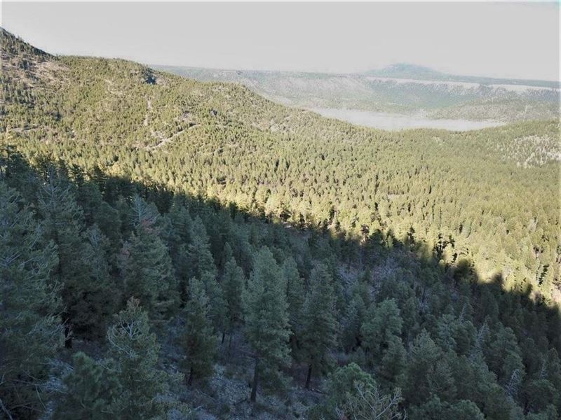 Rincon Ranch : Guadalupita : Mora County : New Mexico