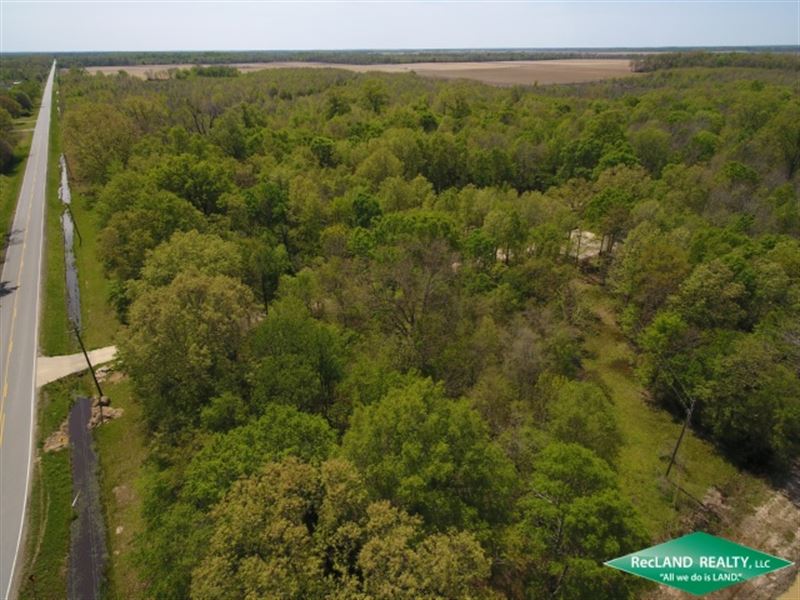 17 Ac, Wooded Tract for Home Site : Darnell : West Carroll Parish : Louisiana