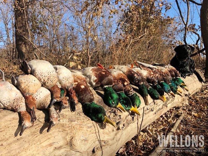 Mallard Grove : Almyra : Arkansas County : Arkansas