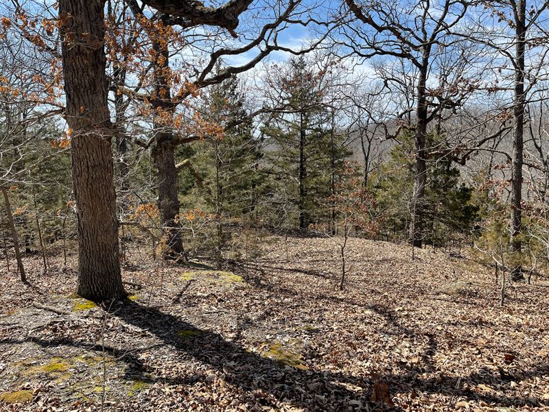 10 Acres, Lake Of The Ozarks, MO : Eldon : Miller County : Missouri