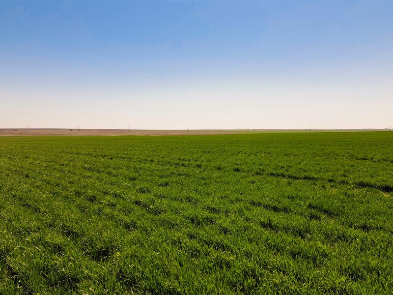 Pawnee County Custom Cropland : Pawnee Rock : Pawnee County : Kansas