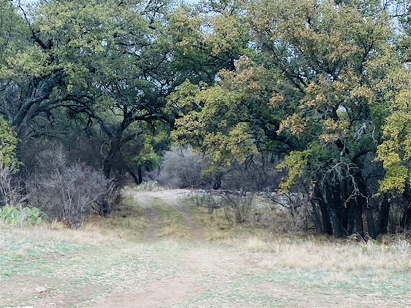 Sawmill Flats, Lot 8 : Rocksprings : Edwards County : Texas