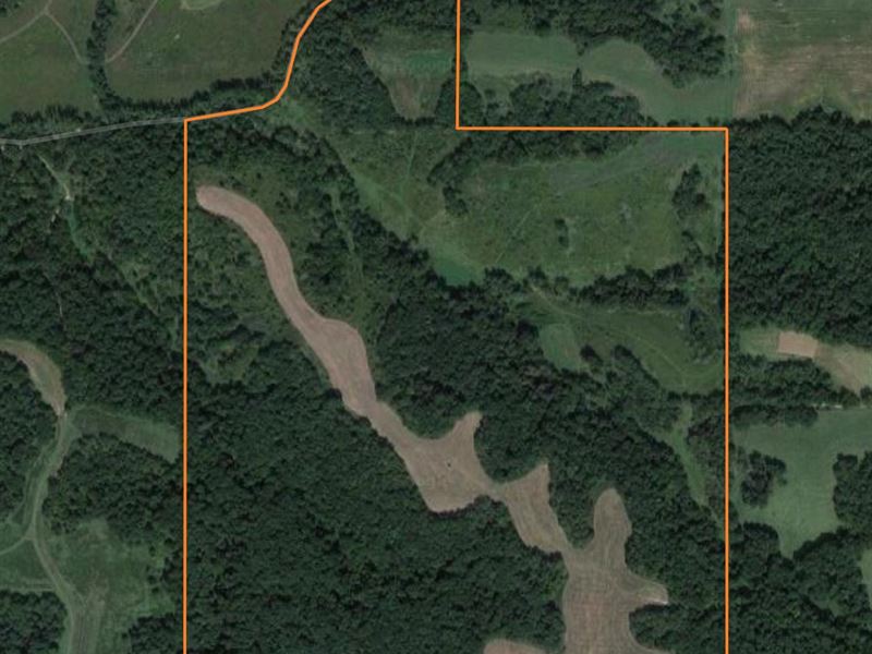 Incredible Secluded Hunting Farm : Martinsburg : Pike County : Illinois