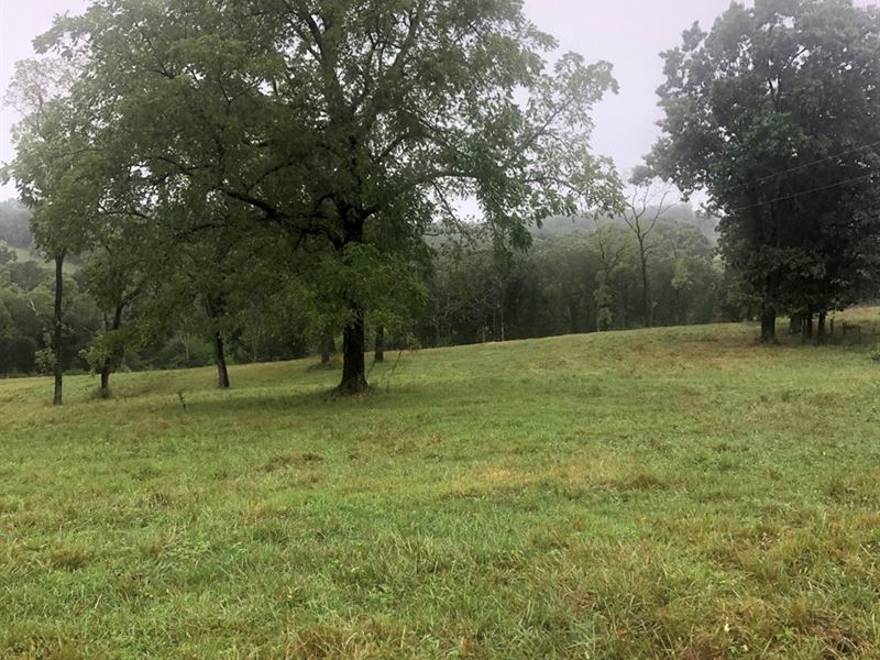 Land for Sale in South Central MO : Cabool : Texas County : Missouri